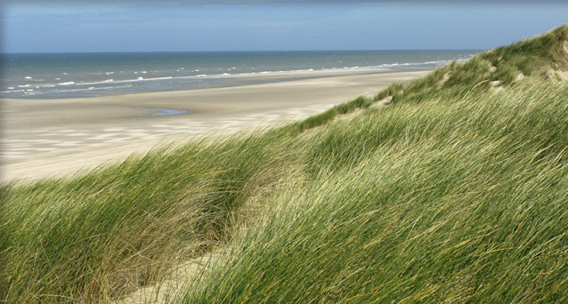 zee en duinen